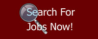 Job Search